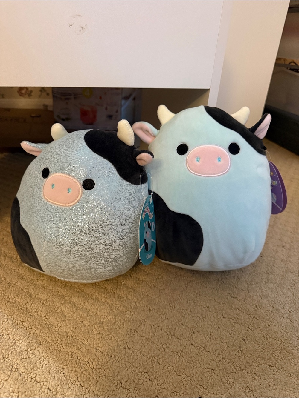 Cillian Cow Squishmallow Duo 7 and 8 inch